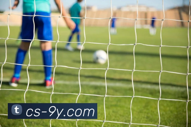 九游官网APP 封面图